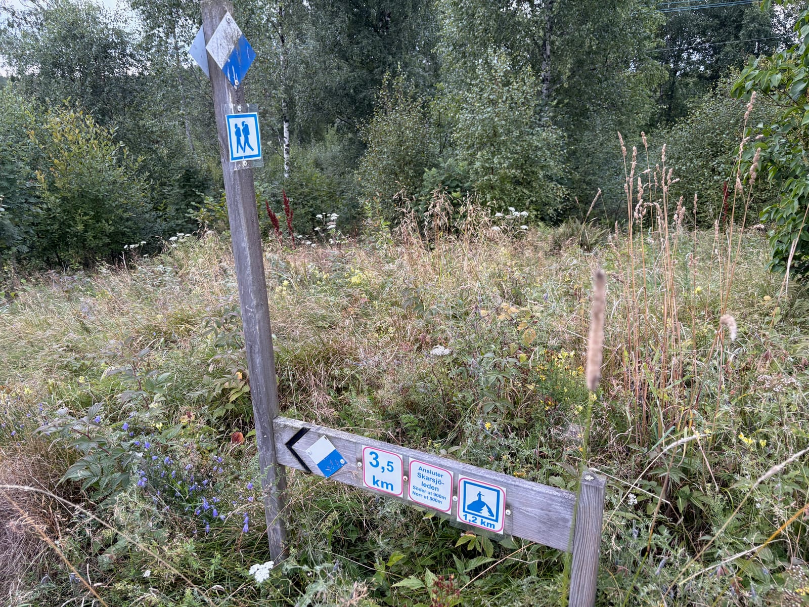 Skarsjöleden skyltning i skogen