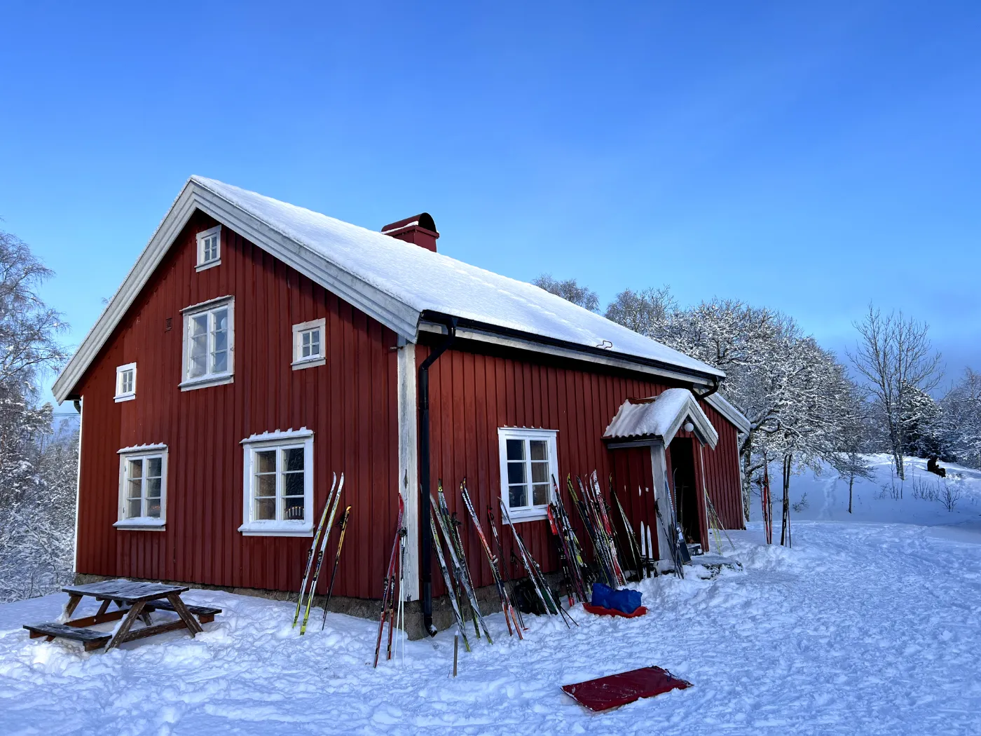 Längdskidor