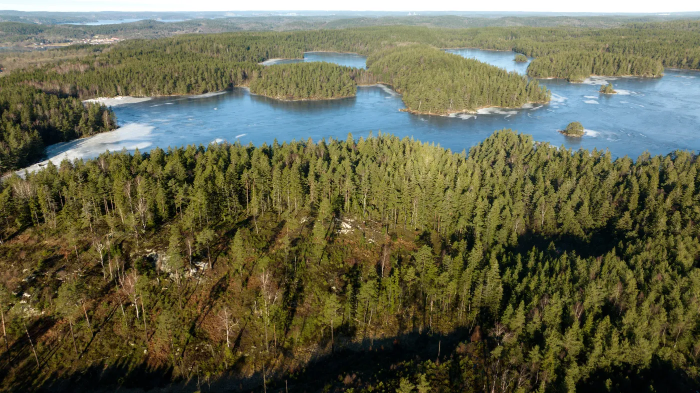Vandringsleder