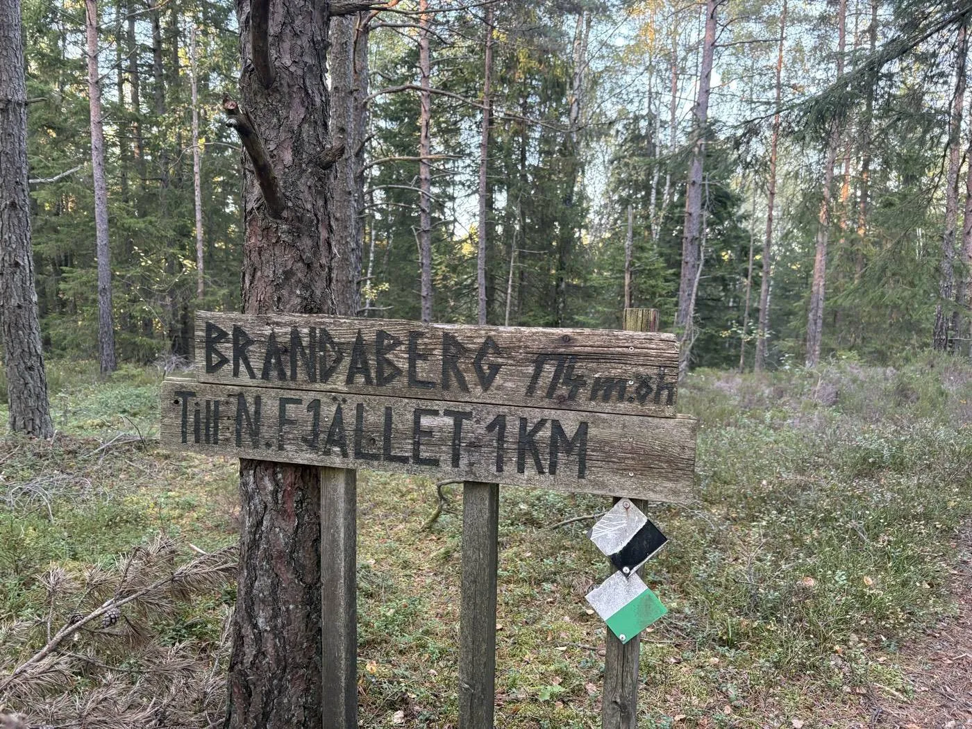 Brandaberg: skylten på brandaberg