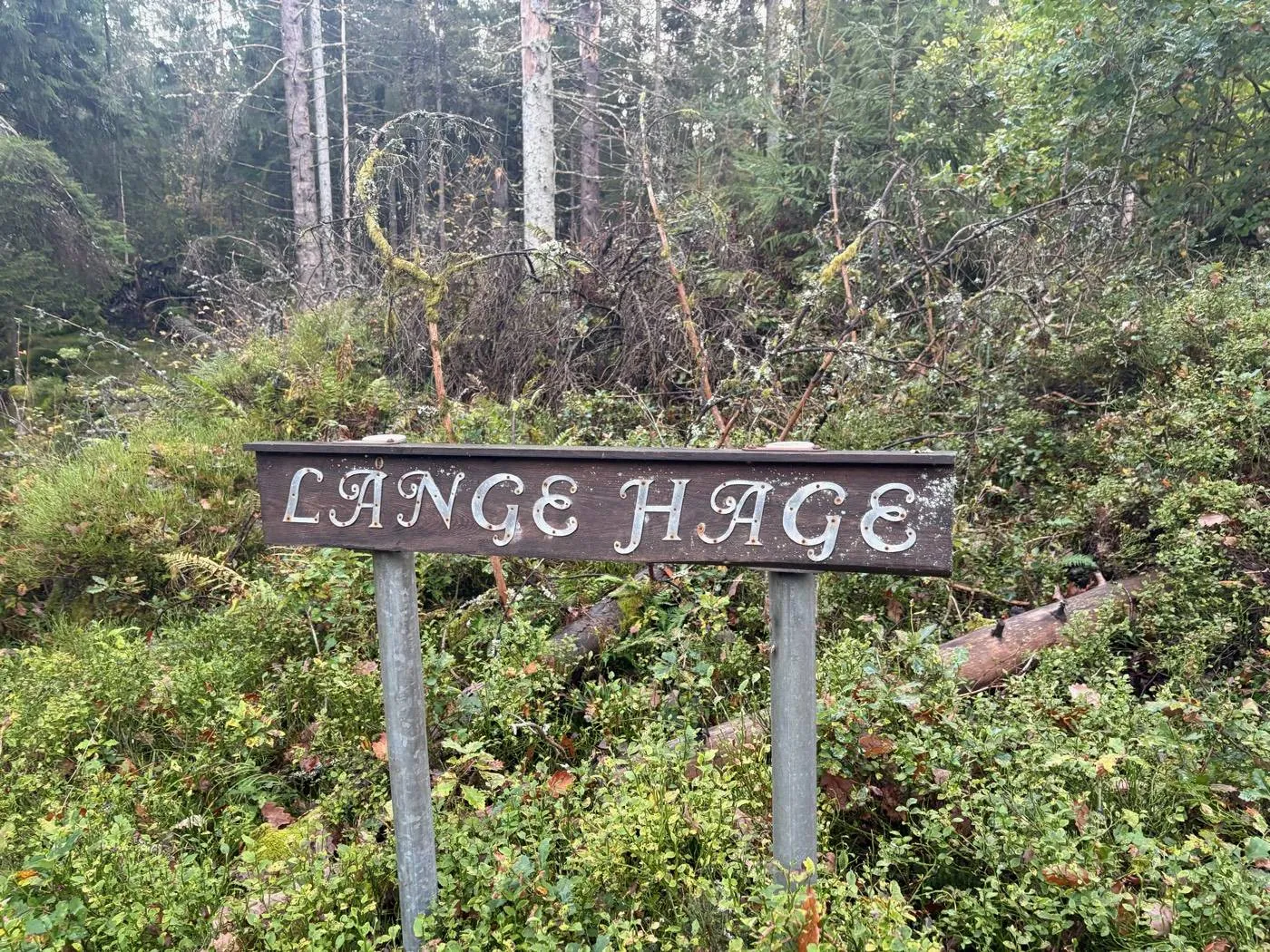 Länge hage: skylten vid ruinen