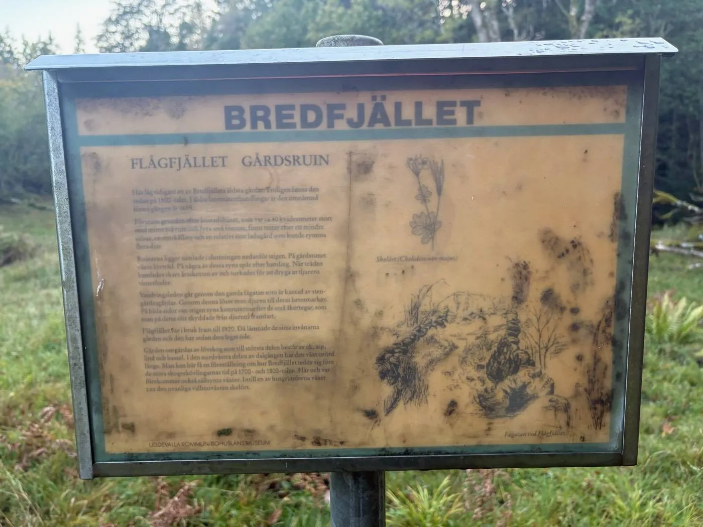 Flågfjällets gårdsruin: tavlan om gården