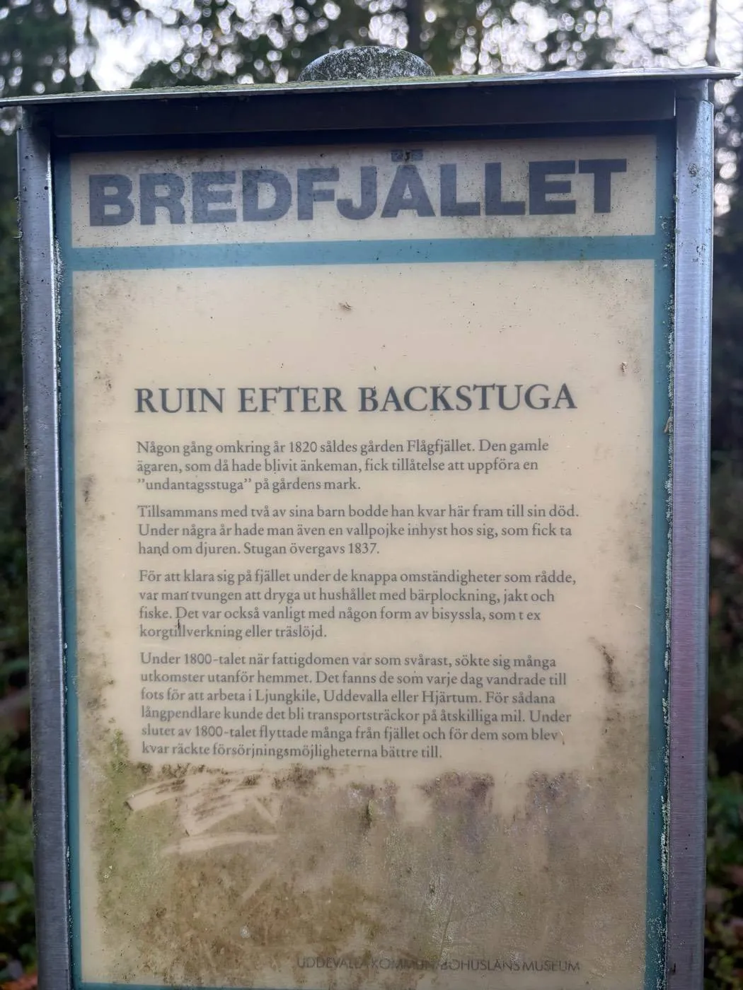 Länge hage: tavlan om backstugan