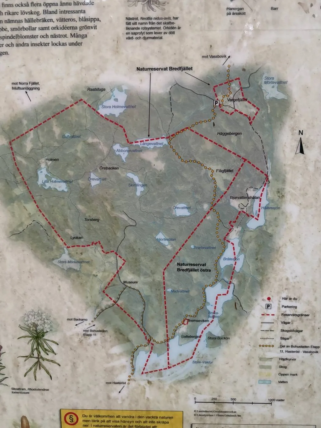 Bredfjällets naturreservat: kartan över reservatet