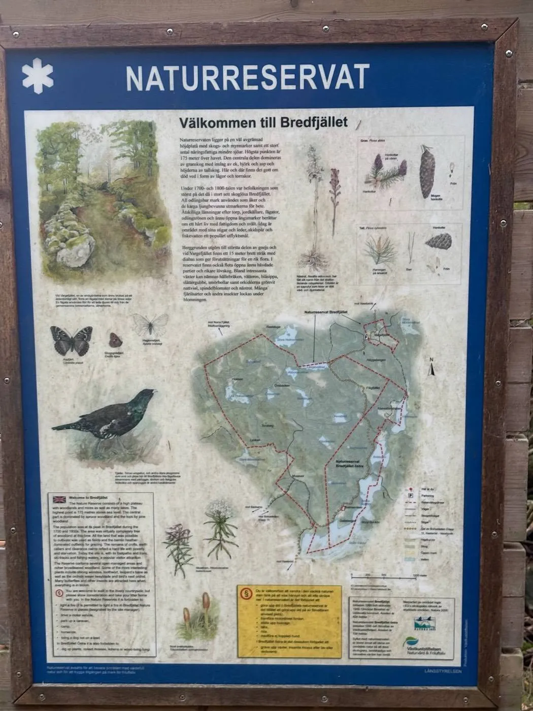 Bredfjällets naturreservat: tavlan vid reservatsgränsen