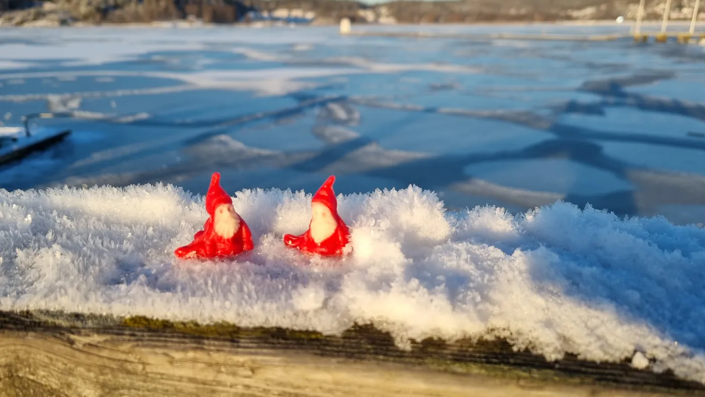 Årets ljushuvud presenteras på Ljusa Ljungskile 28 november