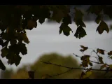 Märtalederna och LFK